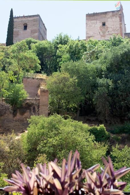 Alhambra Enamora 1 -Paseo De Los Tristes View 1 -C 그라나다 외부 사진